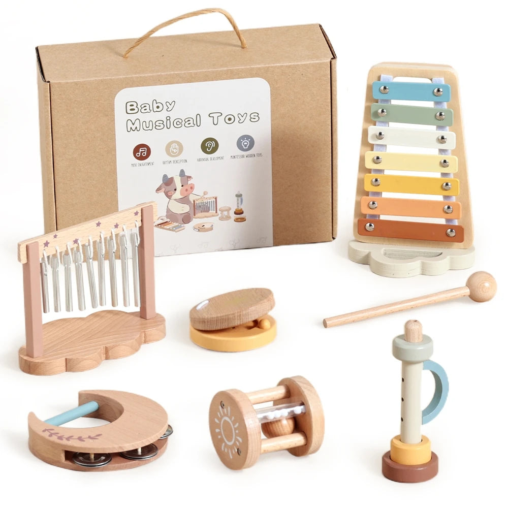 Montessori Music Instruments Kit