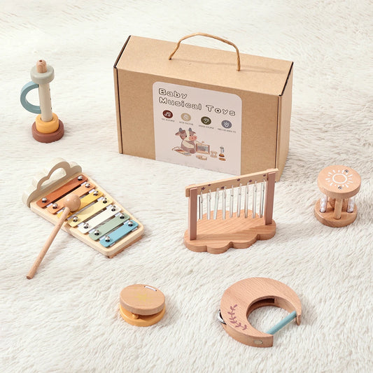 Montessori Music Instruments Kit