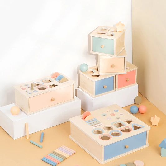 Wooden Shape Sorting Montessori Box