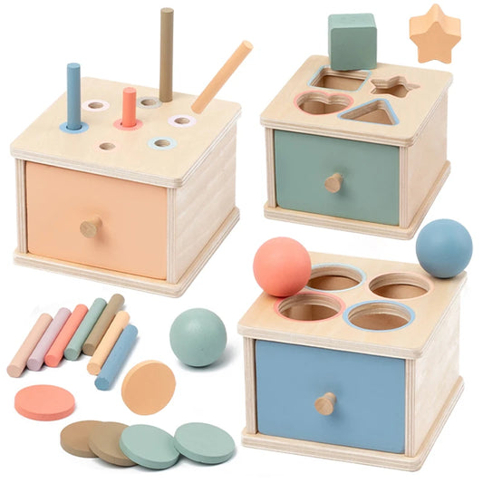Wooden Shape Sorting Montessori Box