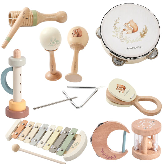 Montessori Wooden Music Kit